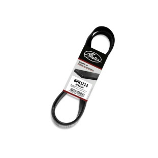 Correia Poly V Citroen Berlingo 2005 a 2006 - Gates